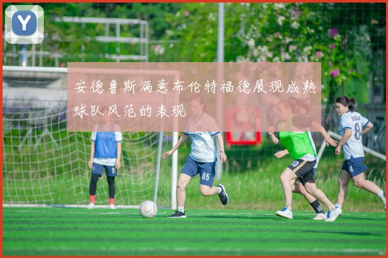 安德鲁斯满意布伦特福德展现成熟球队风范的表现