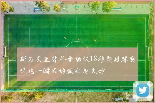 斯万贝里替补登场仅18秒即进球感叹这一瞬间的疯狂与美妙